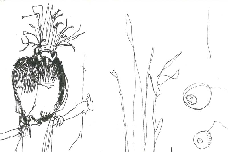 A loosely drawn sketch of a crowned bird-like figure with some eyeballs or maybe cameras alongside by Anthony Quinn